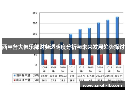 西甲各大俱乐部财务透明度分析与未来发展趋势探讨