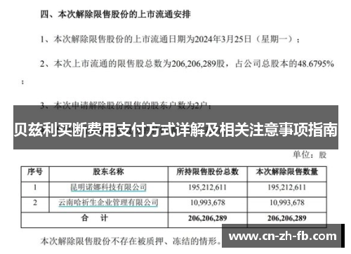 贝兹利买断费用支付方式详解及相关注意事项指南