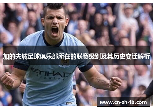 加的夫城足球俱乐部所在的联赛级别及其历史变迁解析