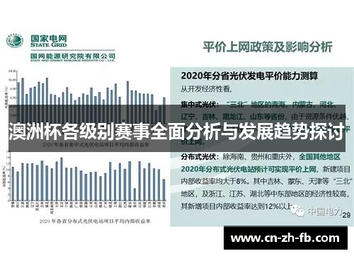 澳洲杯各级别赛事全面分析与发展趋势探讨