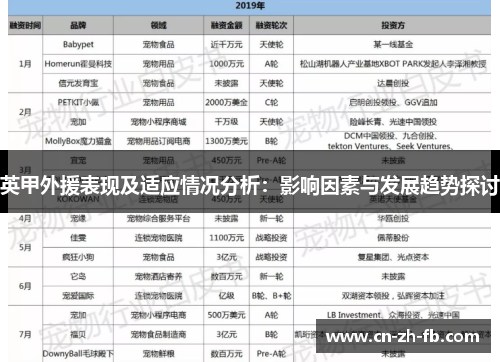 英甲外援表现及适应情况分析：影响因素与发展趋势探讨