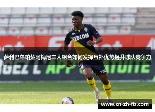 萨利巴乌帕楚阿梅尼三人组合如何发挥互补优势提升球队竞争力 萨利巴乌帕楚阿梅尼三人组合如何发挥互补优势提升球队竞争力