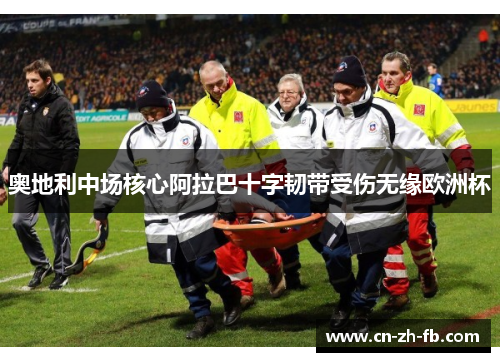 奥地利中场核心阿拉巴十字韧带受伤无缘欧洲杯 奥地利中场核心阿拉巴十字韧带受伤无缘欧洲杯
